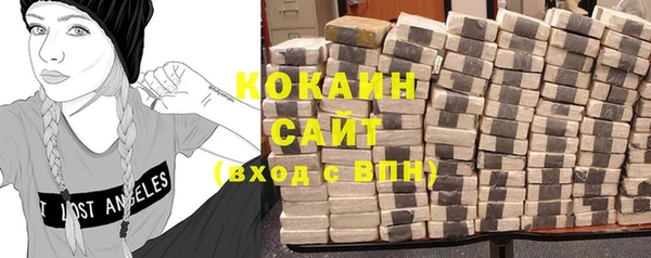 молекула духа Белокуриха